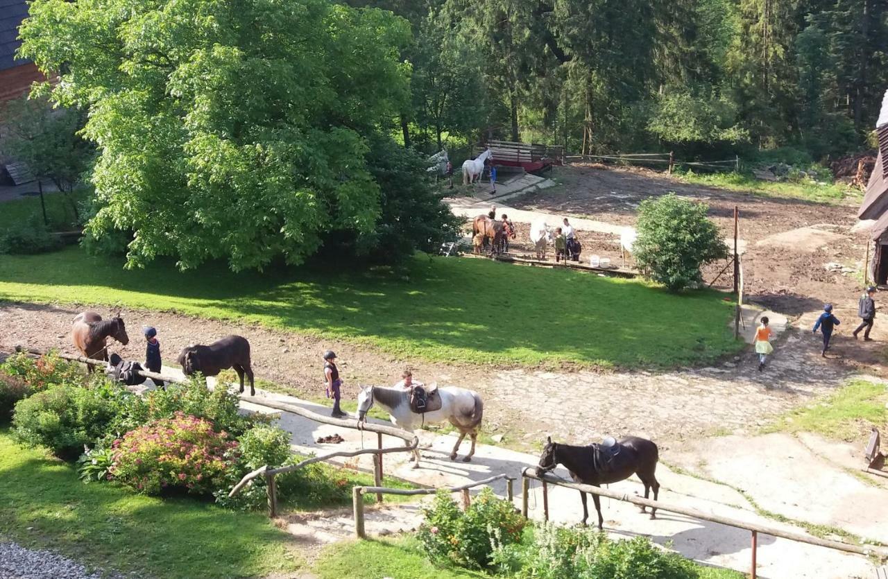 Gorski Osrodek Jezdziecki Bukowina Tatrzanska Exterior photo